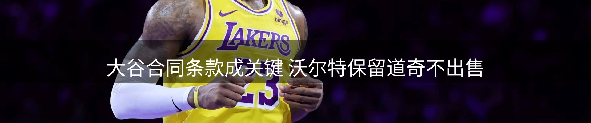 新闻动态