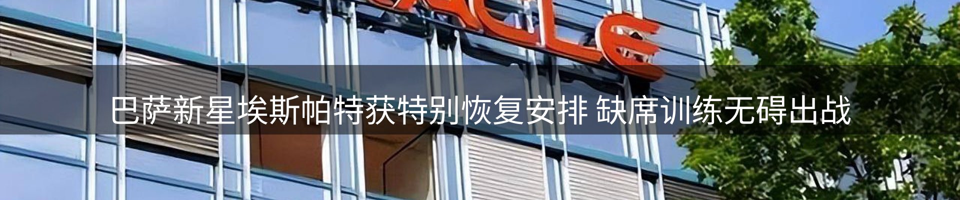 新闻动态