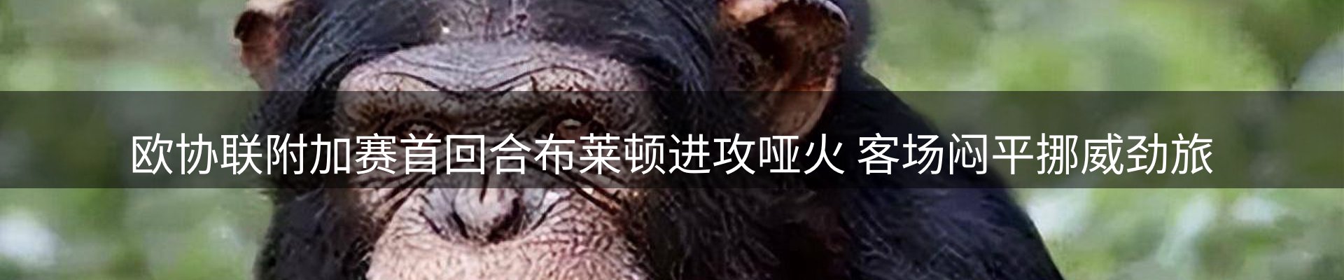 新闻动态