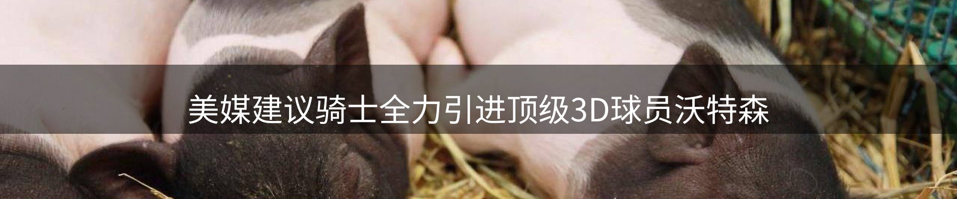 新闻动态