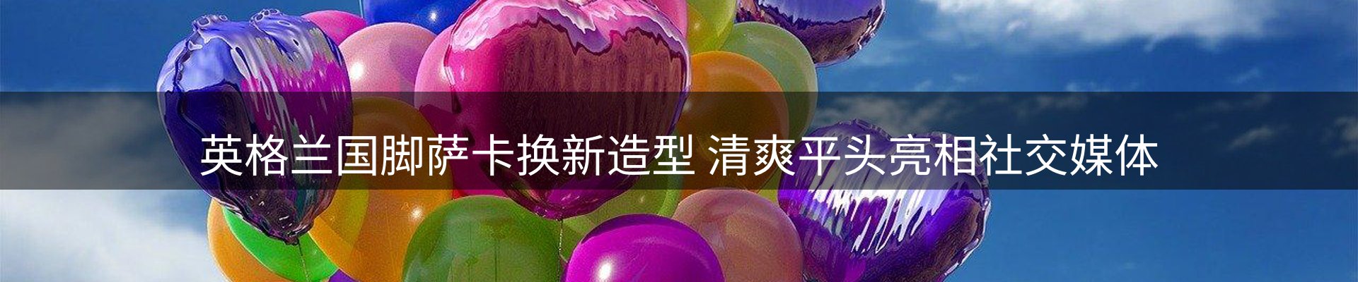 新闻动态
