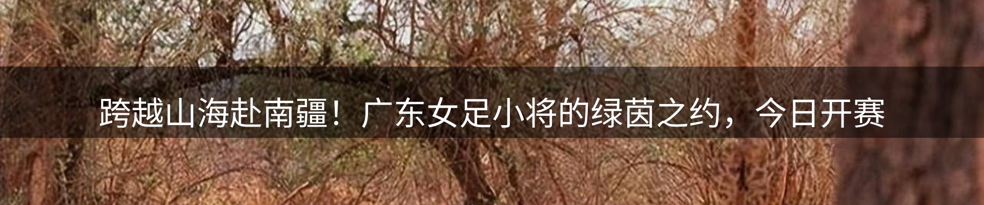 新闻动态