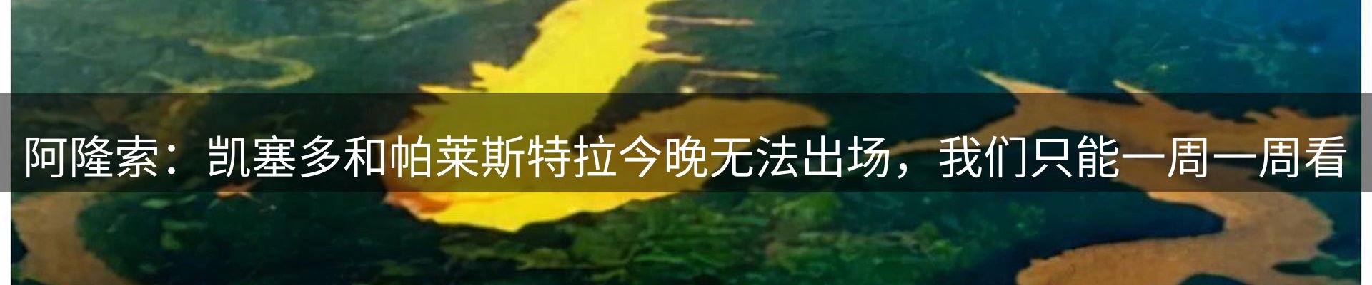新闻动态