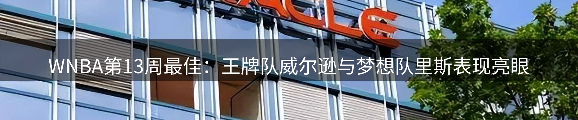 新闻动态